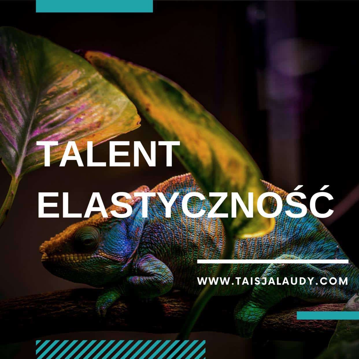 Talent Gallup Elastyczność Elastyczność Test Gallupa